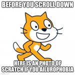 Now scroll down if you saw this meme | BEFORE YOU SCROLL DOWN; HERE IS AN PHOTO OF SCRATCH IF YOU AILUROPHOBIA | image tagged in scratch cat | made w/ Imgflip meme maker