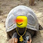 Happy turtle | GIVE MONEY; IF HAVE | image tagged in happy turtle | made w/ Imgflip meme maker