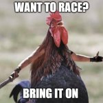Chicken Derby | WANT TO RACE? BRING IT ON | image tagged in come at me chicken | made w/ Imgflip meme maker
