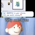This hurt my soul | image tagged in why must you hurt me in this way,pokemon,squirtle | made w/ Imgflip meme maker
