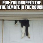 [insert pain in comments] | POV: YOU DROPPED THE THE REMOTE IN THE COUCH | image tagged in bella the cat stuck in a garage door,funny,memes | made w/ Imgflip meme maker