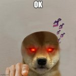 ok | OK | image tagged in dog with hat,oh wow are you actually reading these tags,memes | made w/ Imgflip meme maker