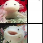 money | money; money | image tagged in annoyed axolotl,money,oh wow are you actually reading these tags | made w/ Imgflip meme maker