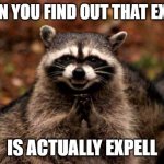 wow (LOL) | WHEN YOU FIND OUT THAT EXCELL; IS ACTUALLY EXPELL | image tagged in evil raccoon blank | made w/ Imgflip meme maker