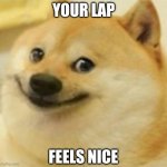 Thigh | YOUR LAP; FEELS NICE | image tagged in smile doge cropped,memes,funny | made w/ Imgflip meme maker