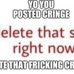 Delete | YO YOU POSTED CRINGE DELETE THAT FRICKING CRINGE | image tagged in delete that shit,cringe | made w/ Imgflip meme maker