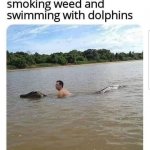Smoking weed and swimming with dolphins