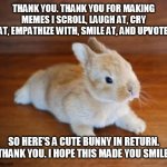 Bunny Stretched Out | THANK YOU. THANK YOU FOR MAKING MEMES I SCROLL, LAUGH AT, CRY AT, EMPATHIZE WITH, SMILE AT, AND UPVOTE. SO HERE'S A CUTE BUNNY IN RETURN. THANK YOU. I HOPE THIS MADE YOU SMILE. | image tagged in bunny stretched out | made w/ Imgflip meme maker