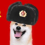 Russia doge