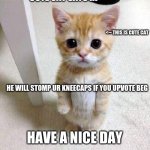 NO UPVOTE BEG | <-- THIS IS CUTE CAT CUTE CAT SAYS HI HE WILL STOMP UR KNEECAPS IF YOU UPVOTE BEG HAVE A NICE DAY | image tagged in memes,cute cat,barney will eat all of your delectable biscuits | made w/ Imgflip meme maker