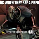 Lizards be like | LIZARDS WHEN THEY SEE A PREDATOR:; TAIL | image tagged in time to abandon ship,lizard | made w/ Imgflip meme maker