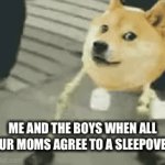 Sleepover time | ME AND THE BOYS WHEN ALL OUR MOMS AGREE TO A SLEEPOVER | image tagged in gifs,why are tags a thing | made w/ Imgflip video-to-gif maker