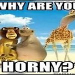 why are you horny meme