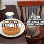 bad grades | 9 YEAR OLD ME AFTER MY BROTHER SAID THAT F MEANS FANTASTIC; THE F'S ON MY REPORT CARD | image tagged in cat with waffles | made w/ Imgflip meme maker