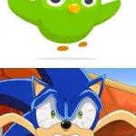 Sonic forgets his Spanish lesson again | LOOKS LIKE YOU FORGOT YOUR SPANISH LESSON,AGAIN! AAAAAAAAAHHHHH!!! | image tagged in sonic scared face | made w/ Imgflip meme maker