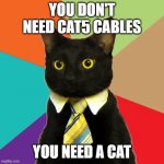 Cat5 Cabling | YOU DON'T NEED CAT5 CABLES; YOU NEED A CAT | image tagged in professional cat | made w/ Imgflip meme maker