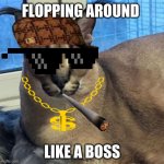 Flopping around like a boss | FLOPPING AROUND; LIKE A BOSS | image tagged in larger flopper | made w/ Imgflip meme maker