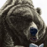 bear | Good Night 
My Friends | image tagged in bear | made w/ Imgflip meme maker