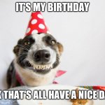 birthday dog | IT'S MY BIRTHDAY OK THAT'S ALL HAVE A NICE DAY | image tagged in birthday dog | made w/ Imgflip meme maker