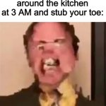Dwight Screaming | When you’re walking around the kitchen at 3 AM and stub your toe: | image tagged in dwight screaming,funny,ouch,haha,memes | made w/ Imgflip meme maker