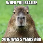 Capybara is not amused | WHEN YOU REALIZE; 2016 WAS 5 YEARS AGO | image tagged in capybara is not amused | made w/ Imgflip meme maker