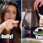 Crying girls and Cat | You're*; Your a bully! | image tagged in crying girls and cat | made w/ Imgflip meme maker