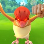 Judgmental Pidgeotto | IM GONNA BEAT YO ASS; GET OVE HERE | image tagged in judgmental pidgeotto | made w/ Imgflip meme maker