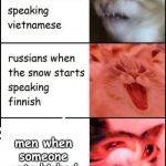 Screaming cats | men when someone gets kicked in the balls | image tagged in screaming cats | made w/ Imgflip meme maker