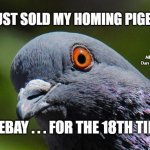 Pigeon | I JUST SOLD MY HOMING PIGEON; MEMEs by Dan Campbell; ON EBAY . . . FOR THE 18TH TIME | image tagged in pigeon | made w/ Imgflip meme maker