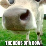 Possessed cow | THE ODDS OF A COW BEING POSSESSED ARE SLIM... BUT NEVER ZERO | image tagged in scary cow | made w/ Imgflip meme maker