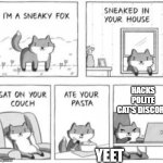 now i knew the scary beluga cat's discord | HACKS POLITE CAT'S DISCORD; YEET | image tagged in sneaky fox | made w/ Imgflip meme maker