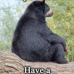 bear | Good Night
My Friends; Have a Peaceful Rest | image tagged in bear | made w/ Imgflip meme maker