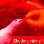 Shutting Intensifies