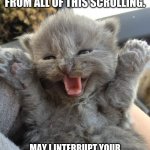 Kitty wovs bewwy wubs | YOU HOOMANS MUST BE TIRED FROM ALL OF THIS SCROLLING. MAY I INTERRUPT YOUR SCROLLING WITH A KITTEN PICTURE? | image tagged in yay kitty,cute cat,adorable,fun | made w/ Imgflip meme maker