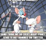 Pinky and the Brain Findom | GEE BRAIN, WHAT DO
YA WANNA DO TONIGHT? SAME THING WE DO EVERY NIGHT PINKY;
SEND TO HOT DOMMES ON TWITTER | image tagged in pinky and the brain,memes | made w/ Imgflip meme maker