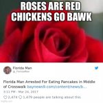 Crosswalk pancakes | ROSES ARE RED 
CHICKENS GO BAWK | image tagged in roses are red,funny,florida man,lol,memes,too funny | made w/ Imgflip meme maker