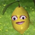 Cursed lemon meme