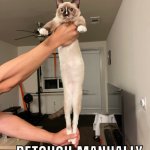 retouch manually | image tagged in retouch manually,cats | made w/ Imgflip meme maker