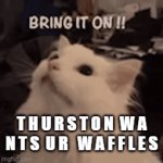 better give him ur waffles u little crap | T H U R S T O N  W A N T S  U R   W A F F L E S | image tagged in gifs,stupid,funni,no,why u no like,thurston wants ur waffles | made w/ Imgflip video-to-gif maker