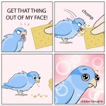 bird likes cracker meme