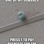 Poor duck | FOUND THIS IN ONE OF MY CLASSES; PRESS F TO PAY RESPECTS FOR THE BLUE DUCKY IN COMMENTS | image tagged in blue duck on ceiling | made w/ Imgflip meme maker