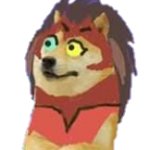 Catradora Doge