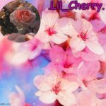 Lil Cherrys announcement table
