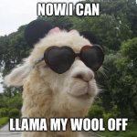 cool llama | NOW I CAN; LLAMA MY WOOL OFF | image tagged in cool llama | made w/ Imgflip meme maker