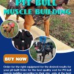 Pit bull muscle building