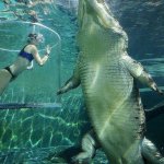 Woman Australian Saltwater Crocodile