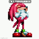 yes | I'M A PROGRAMMER! | image tagged in no u p | made w/ Imgflip video-to-gif maker