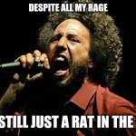 That machine devoured them | DESPITE ALL MY RAGE; I AM STILL JUST A RAT IN THE CAGE | image tagged in rage against the machine zack,rage against the machine,machine,cage,mouse,rats | made w/ Imgflip meme maker