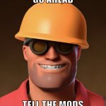 Go ahead, tell the mods. meme