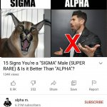 15 signs you're a sigma male is it better than alpha male